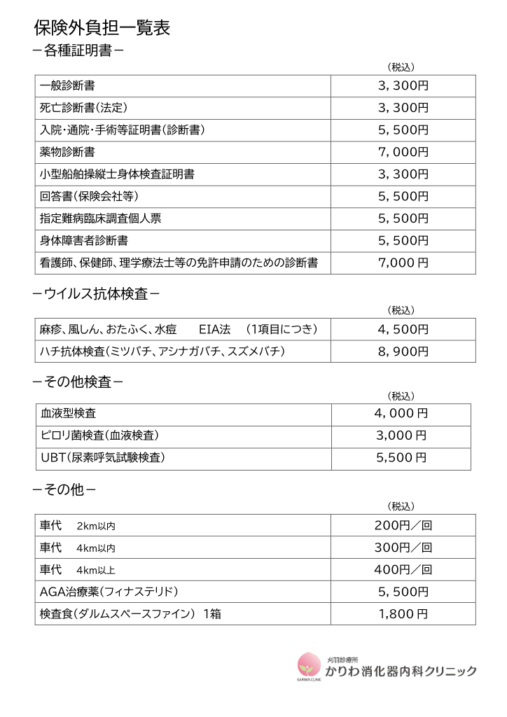 保険外負担一覧表（各種証明書)